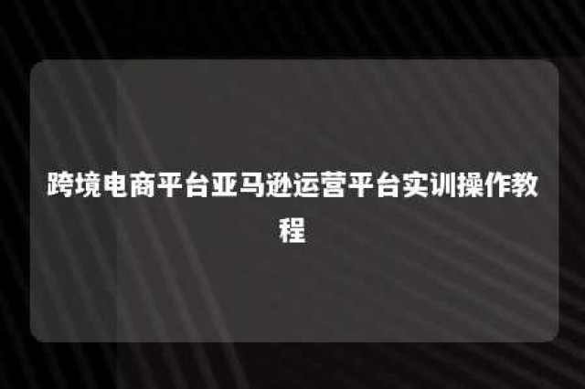 跨境电商平台亚马逊运营平台实训操作教程 亚马逊跨境电商培训视频教程